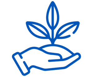 image-section2